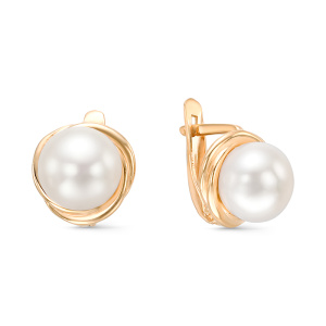 22008А1 Серьги (Au 585)