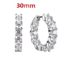 CZ-E04456-X-W-X-X-W Серьги (Ag 925)