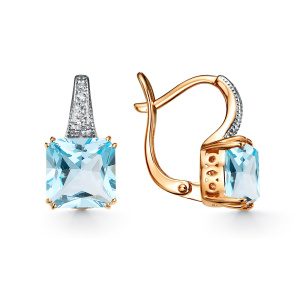 21804476 Серьги (Au 585)