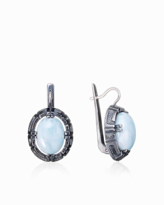 ER061488LAR-COV-M Серьги (Ag 925)