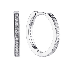 CZ-E04398-X-W-X-X-W Серьги (Ag 925)