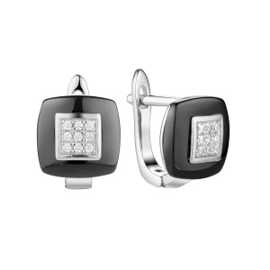 TC-E00263-B-W-X-X-W Серьги (Ag 925)